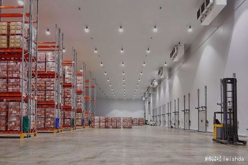 國內(nèi)知名農(nóng)產(chǎn)品冷庫廠商推薦及技術(shù)服務(wù)解析